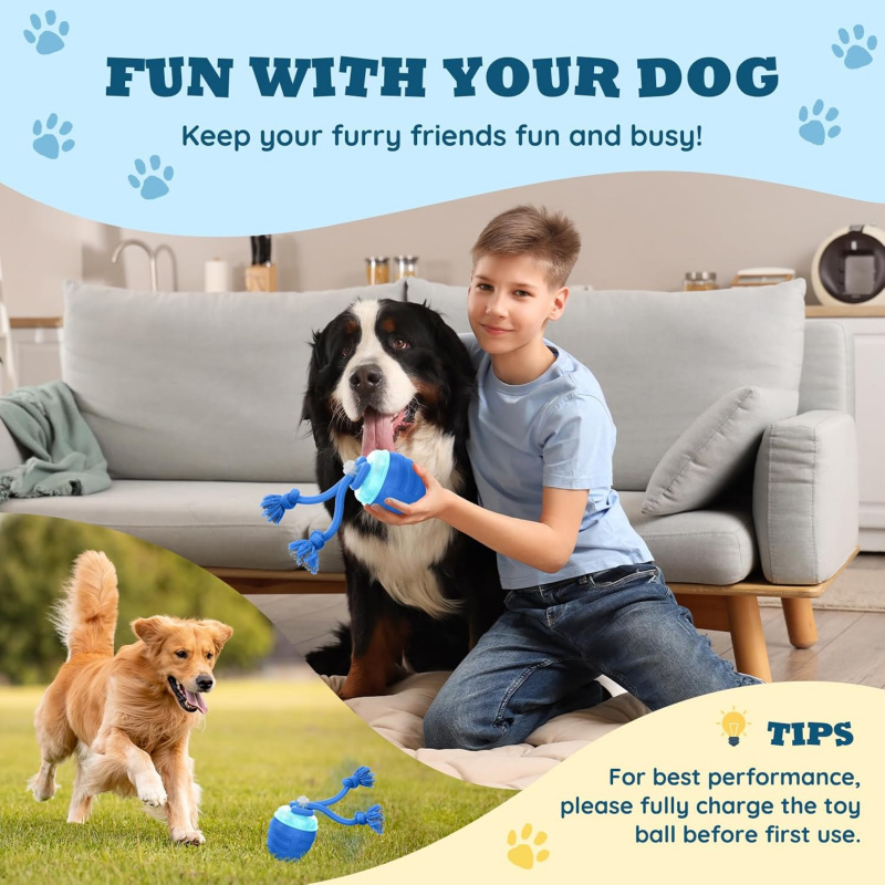 Ulepszona automatyczna interak – Automatic Moving Dog Ball recenzja i cena