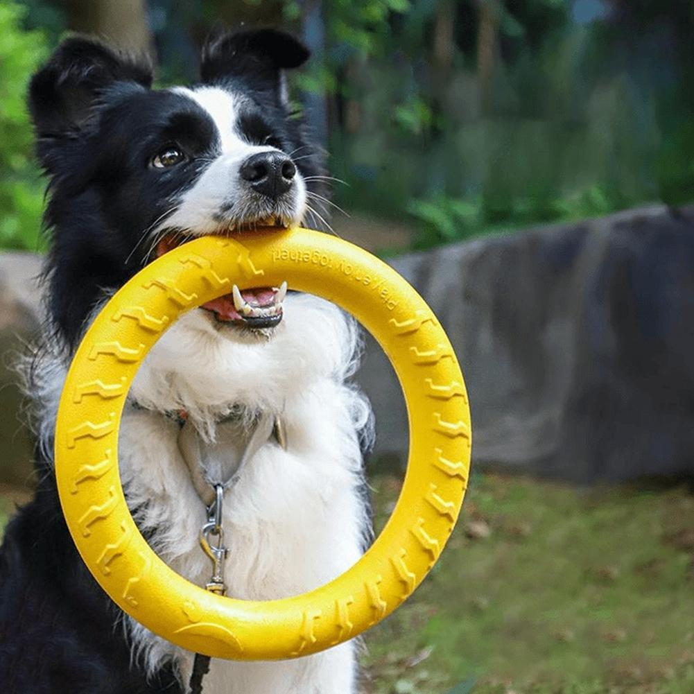 Zabawki dla psów: pierścienie, – Interactive Squeaky Plush Dog Toy recenzja i cena