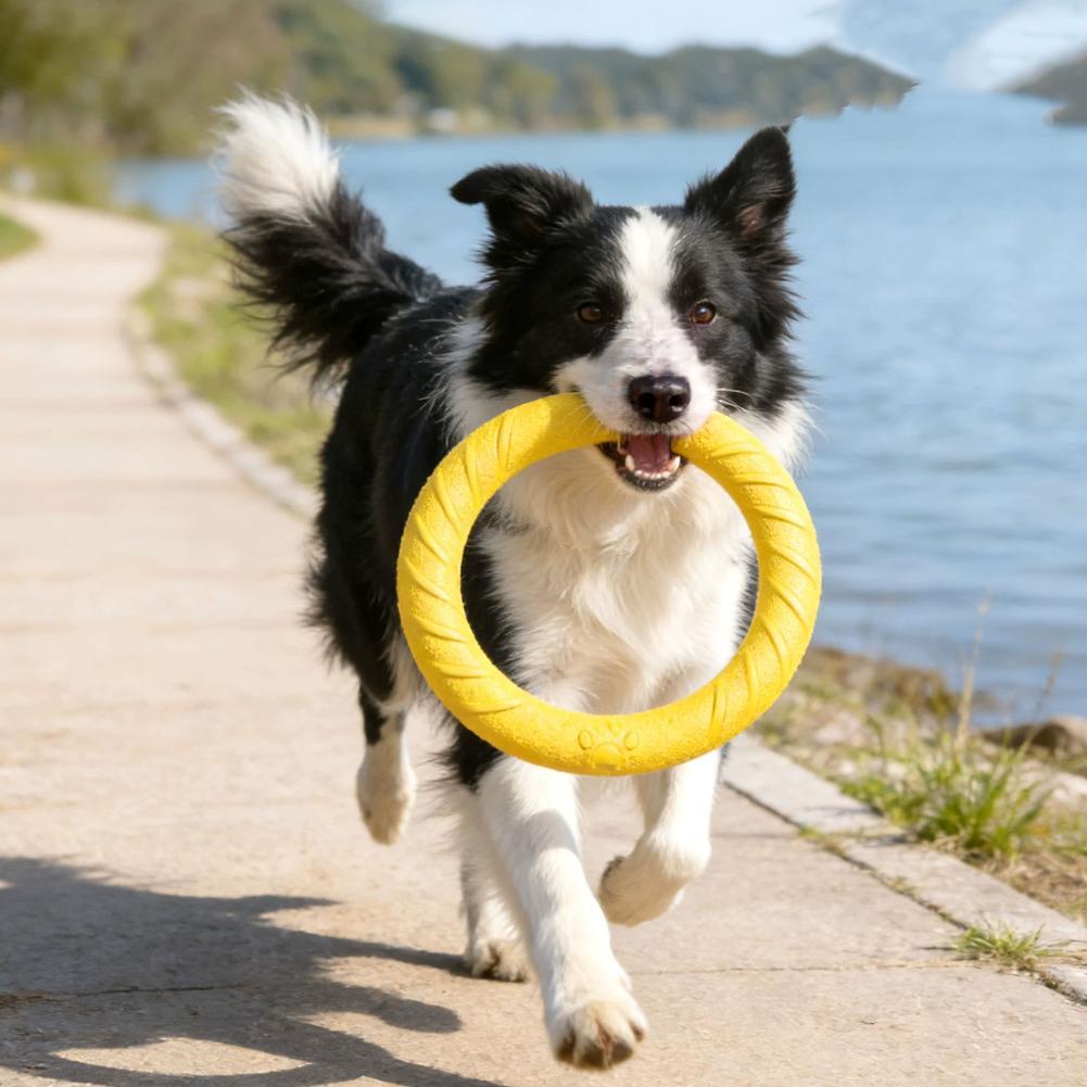Zabawki dla psów: pierścienie, – Interactive Squeaky Plush Dog Toy recenzja i cena