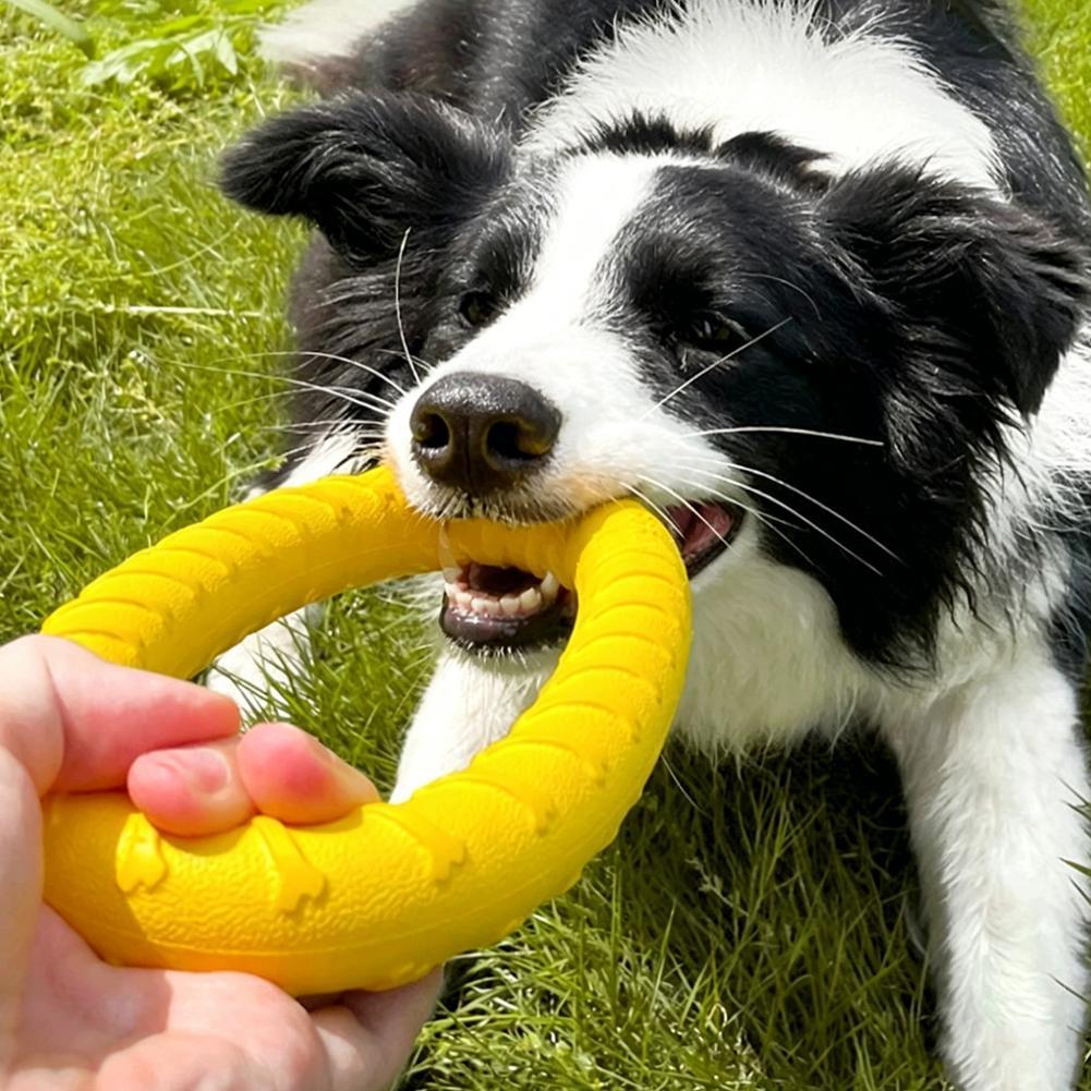 Zabawki dla psów: pierścienie, – Interactive Squeaky Plush Dog Toy recenzja i cena