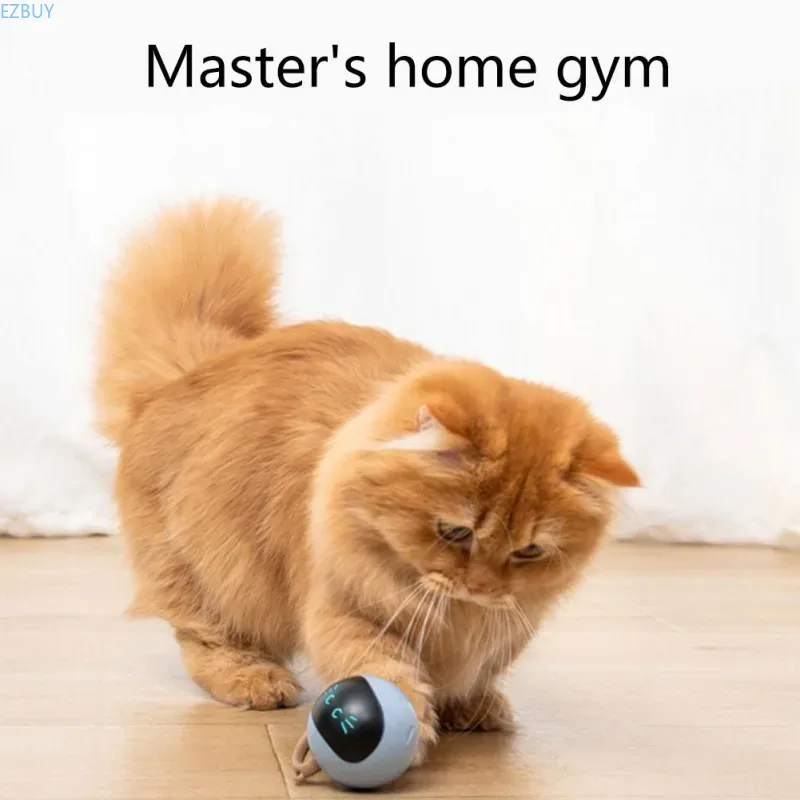 Interaktywna piłka dla kota, ł – Automatic Moving Dog Ball recenzja i cena