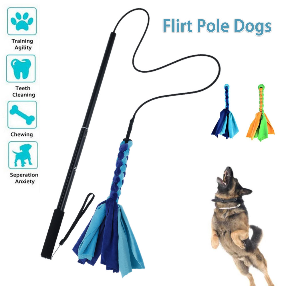 Psy Flirt Przynęta Kij Zabawki – Interactive Squeaky Plush Dog Toy recenzja i cena