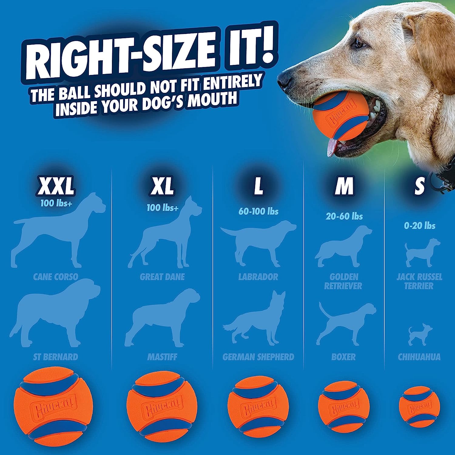 Zabawka dla psa Chuckit Ultra  – Interactive Squeaky Plush Dog Toy recenzja i cena