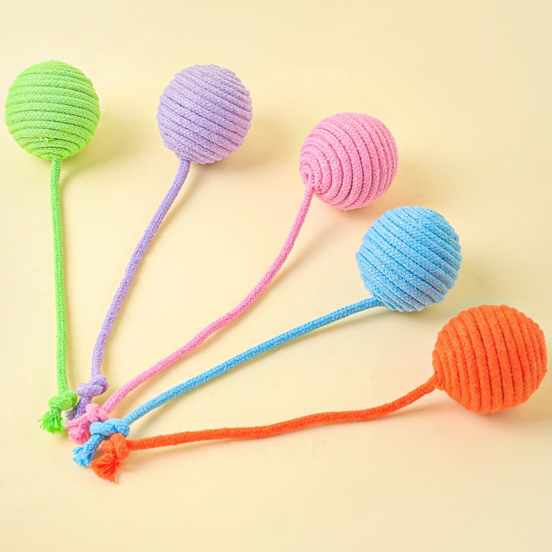 Zabawka dla kota Bawełniana ku – Interactive Squeaky Plush Dog Toy recenzja i cena