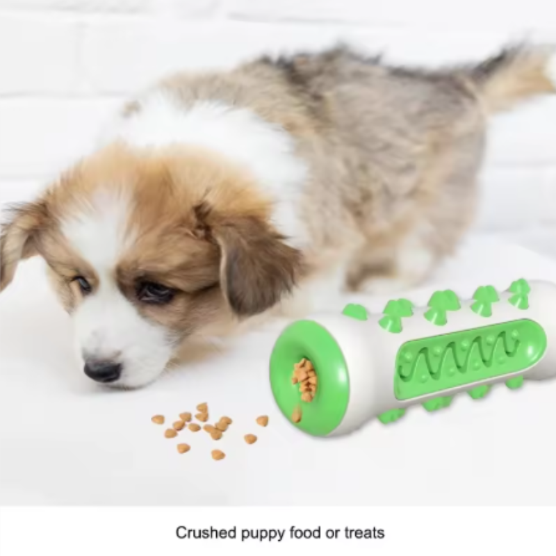 1 szt. enzymatyczna zabawka do – Teeth Cleaning Dog Chew Bone recenzja i cena