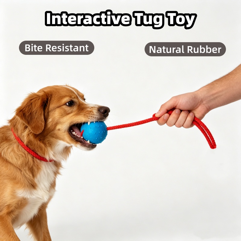 Niezniszczalna piłka dla psa z – Indestructible Dog Chew Toy recenzja i cena